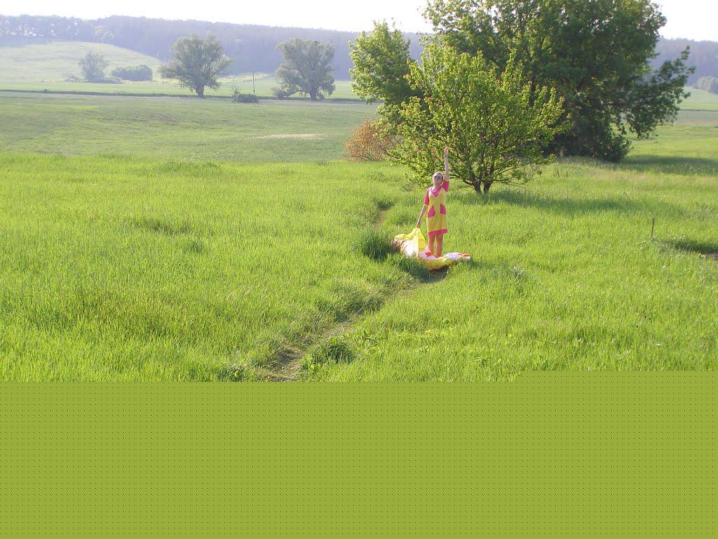 Великі Сорочинці з panoramio.com - Великие Сорочинцы