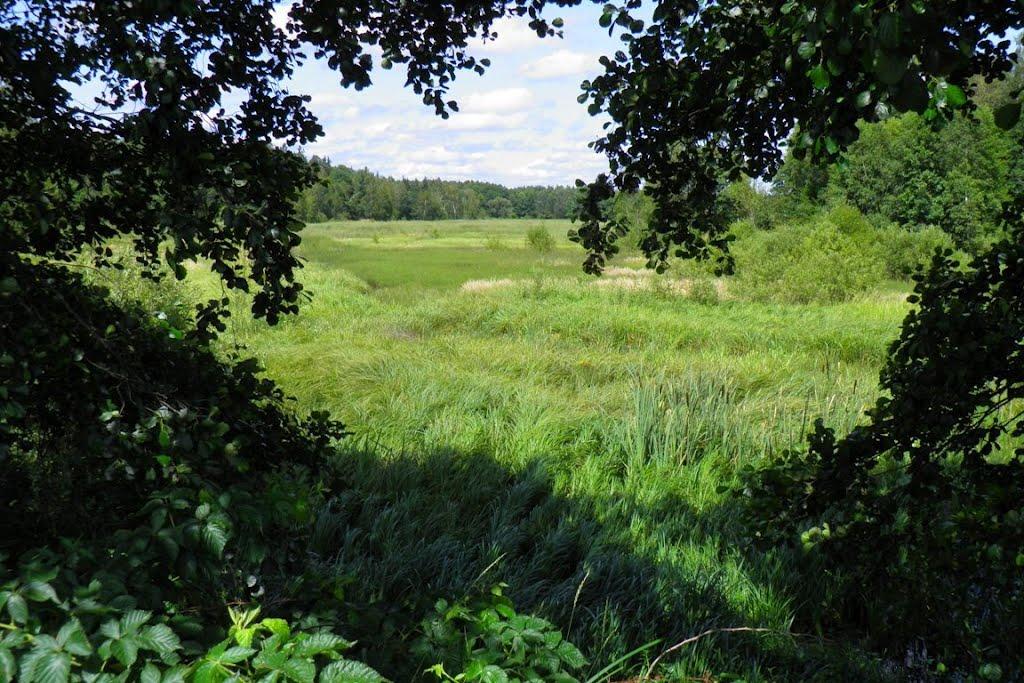 Маневичі з panoramio.com - Маневичі