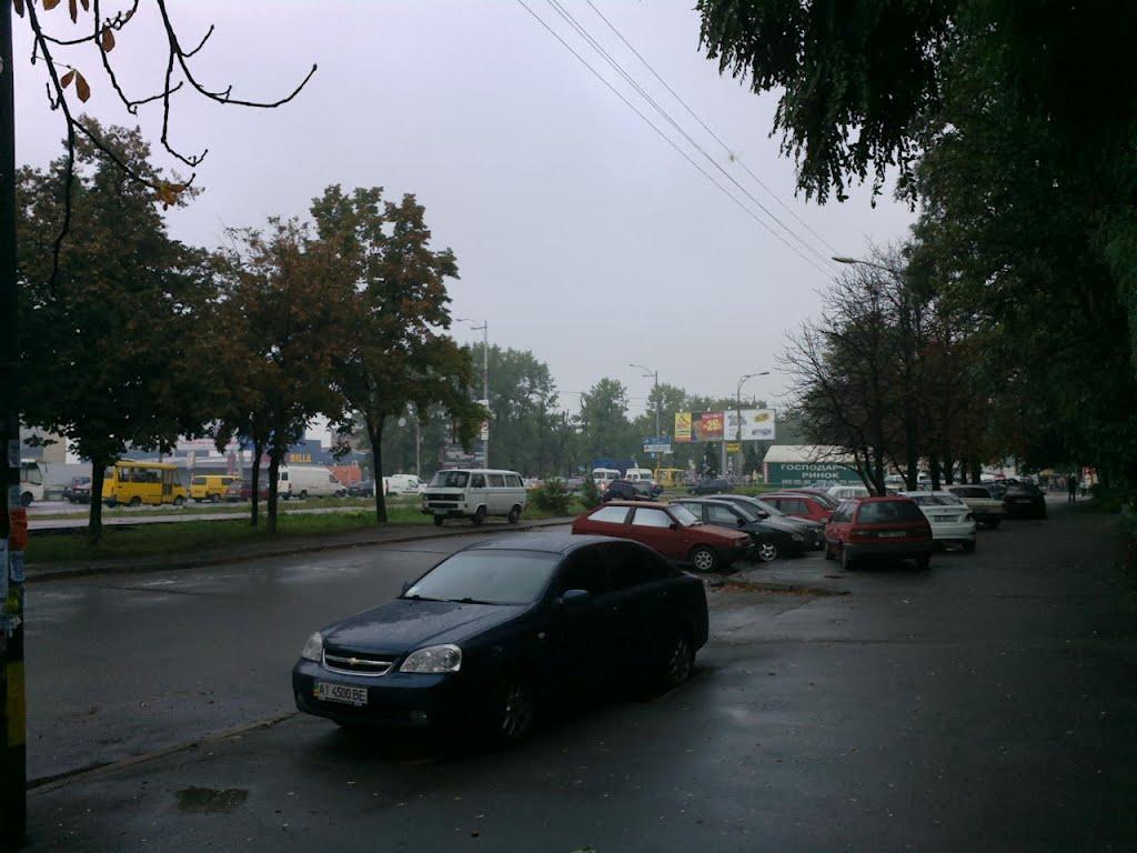 Софіївська Борщагівка з panoramio.com (ч.2) - Софиевская Борщаговка