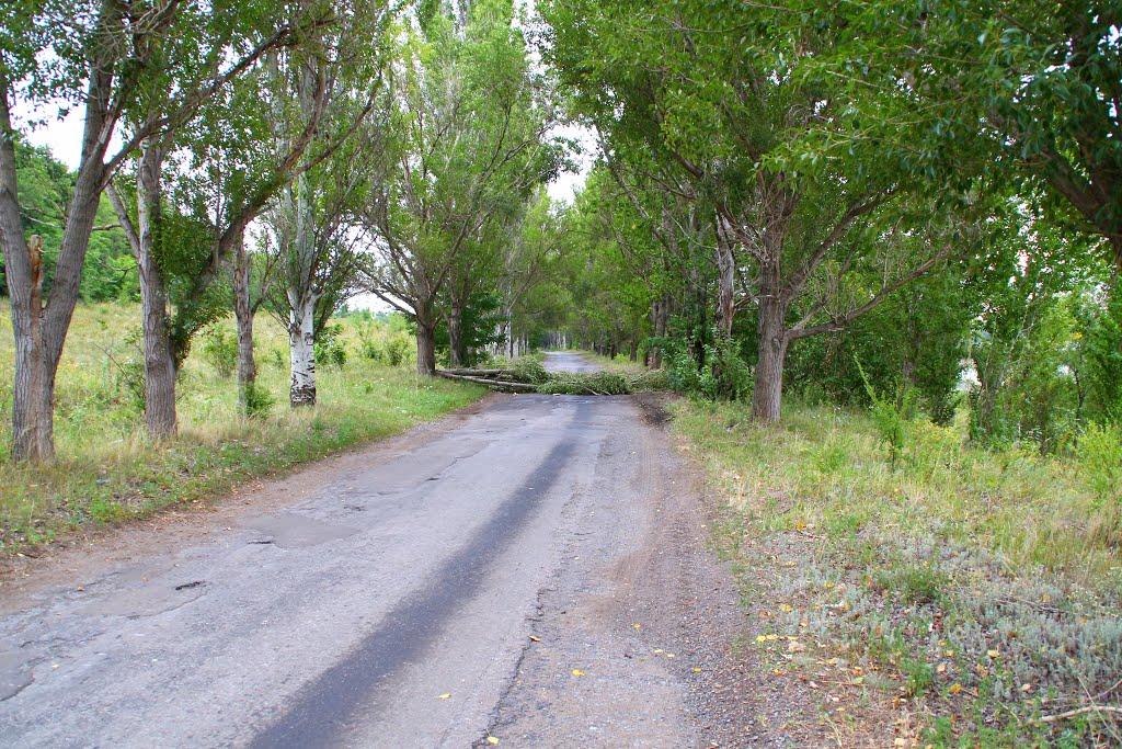 Адамівка з panoramio.com - Адамівка