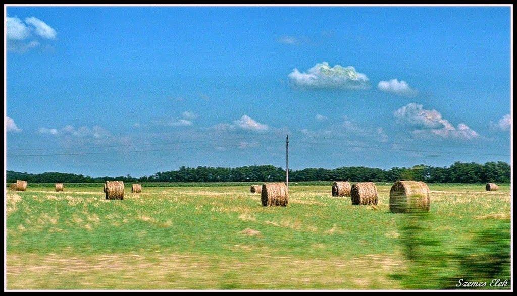 Астей з panoramio.com - Астей