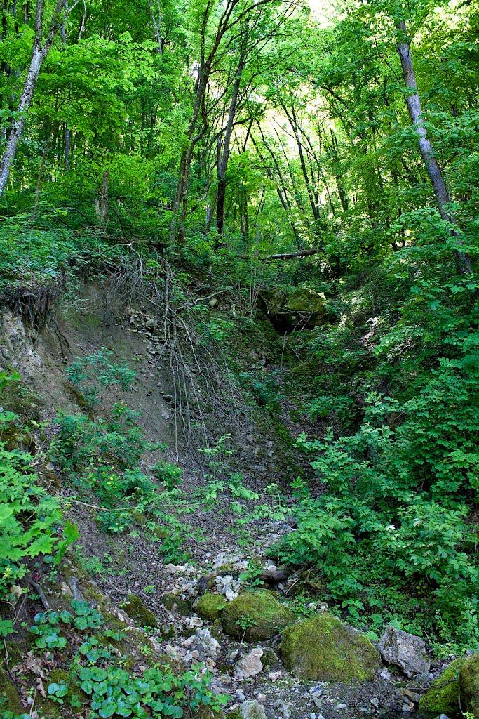 Ленівка з panoramio.com - Lenivka