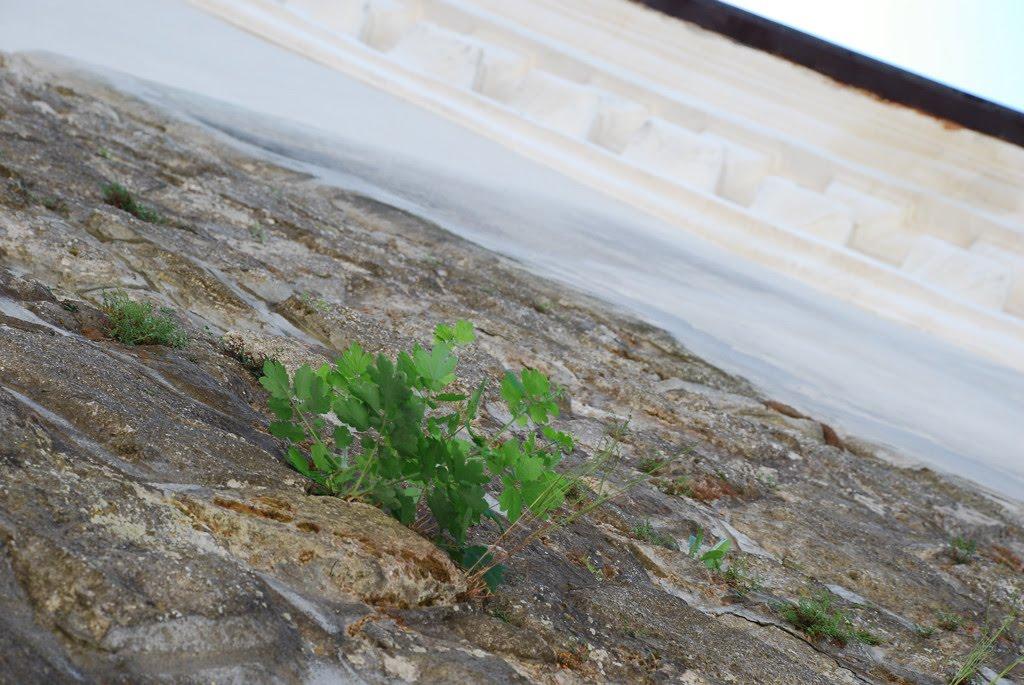 Унів з panoramio.com - Унів