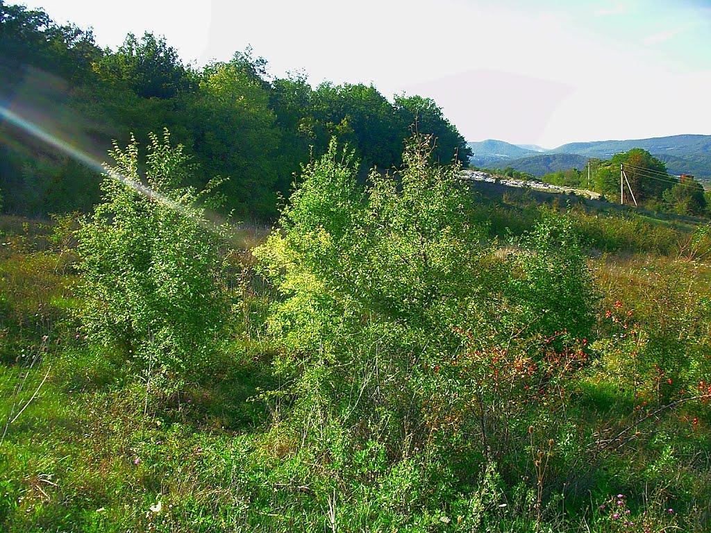 Соколине з panoramio.com (ч.2) - Соколиное