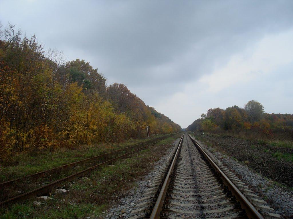 Суходіл з panoramio.com - Суходіл