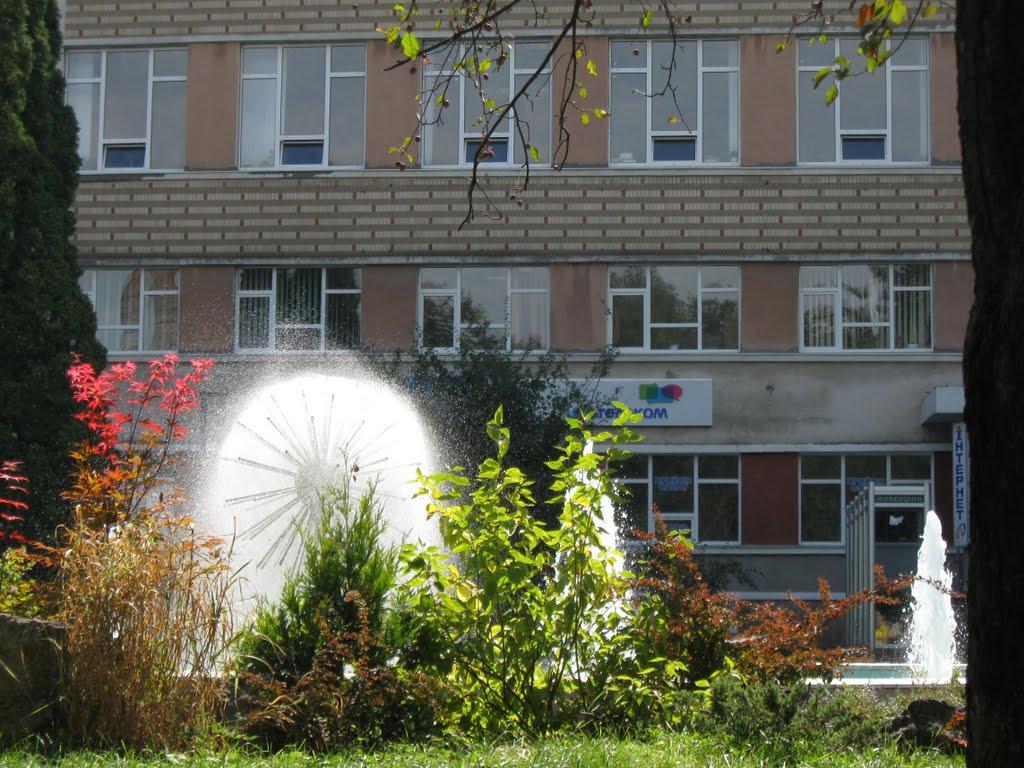 Петриків з panoramio.com (ч.2) - Петриків