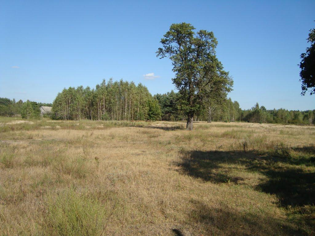 Слобода з panoramio.com - Слобода