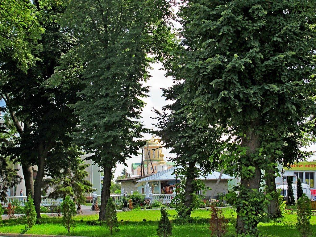 Млинів з panoramio.com - Млинів