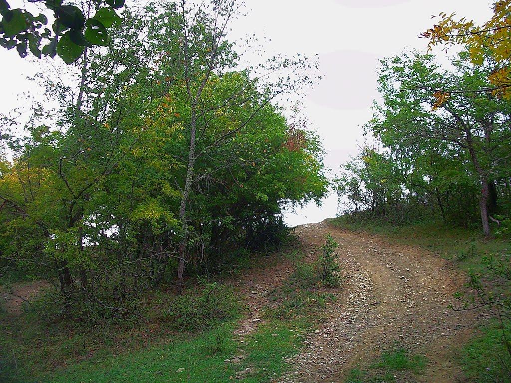 Плотинне з panoramio.com - Плотинное