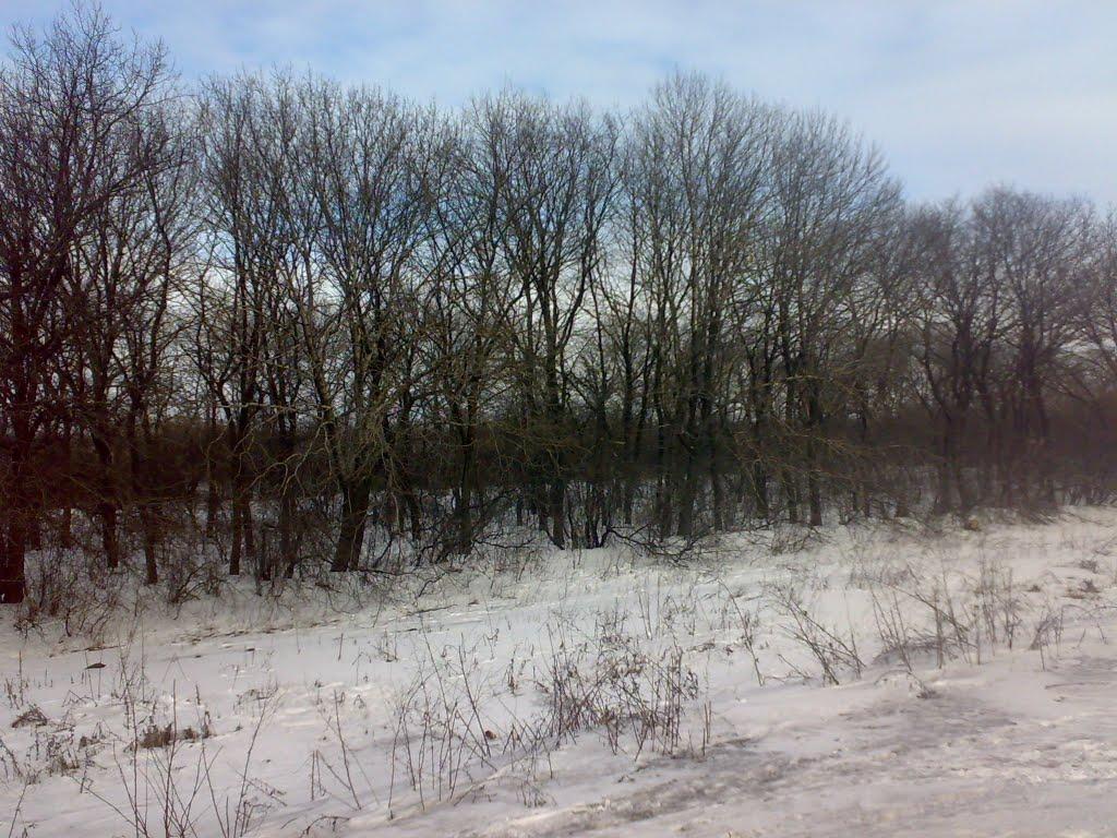 Новогродівка з panoramio.com - Новогродівка