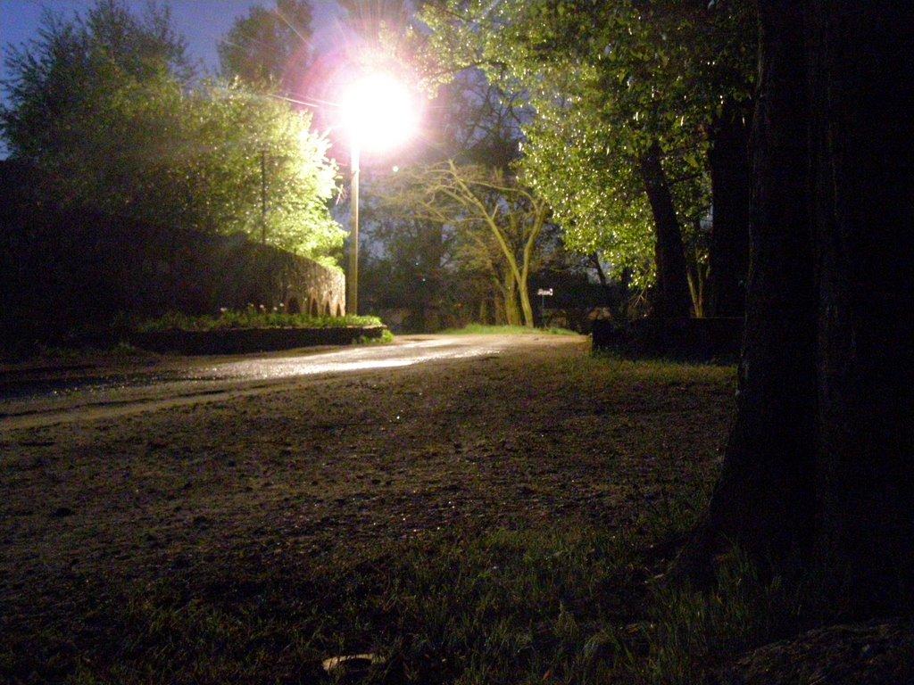 Новомосковськ з panoramio.com (ч.3) - Новомосковск