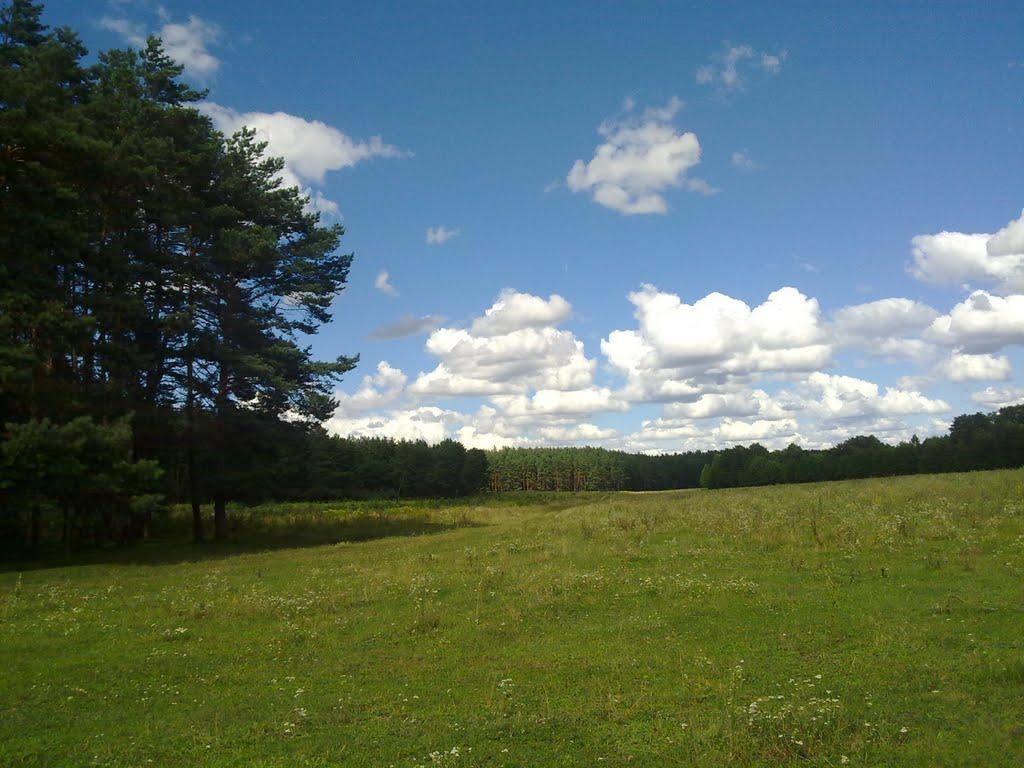 Михля з panoramio.com - Михля