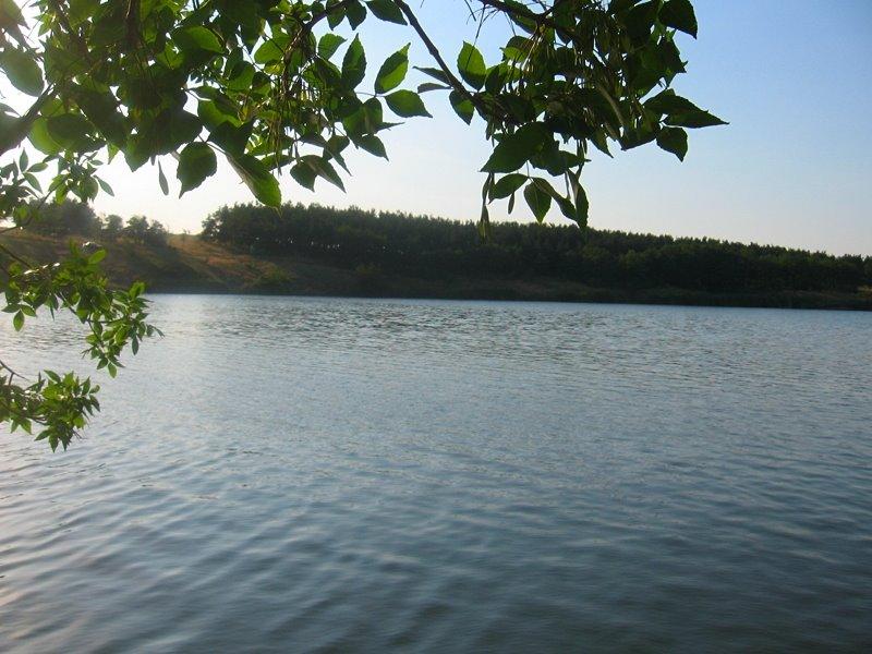 Дар'їно-Єрмаківка з panoramio.com - Дар'їно-Єрмаківка