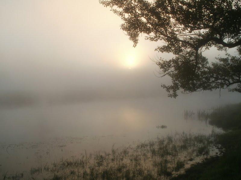 Дюксин з panoramio.com - Дюксин