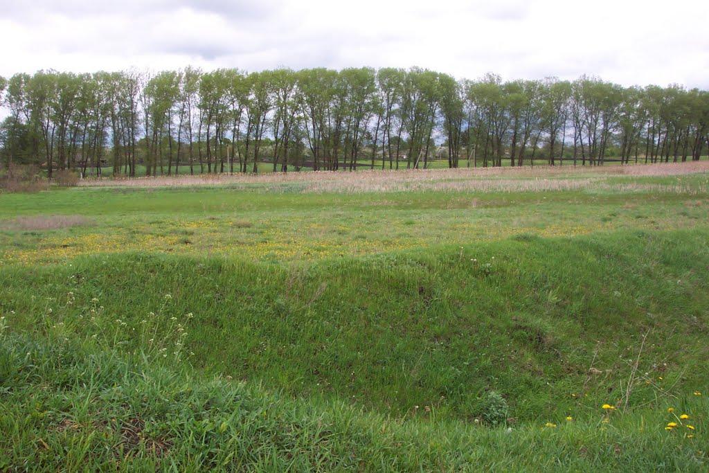 Любимівка з panoramio.com - Любимівка