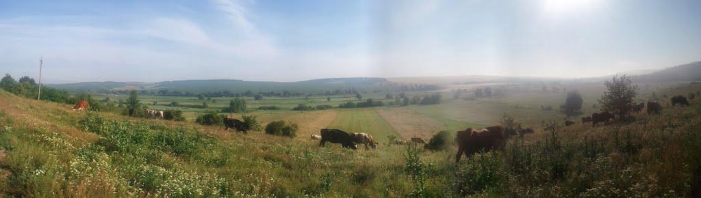 Червона Гребля з panoramio.com - Попова Гребля