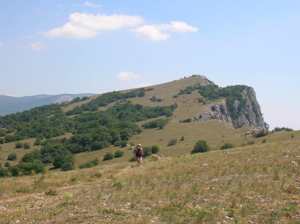 Санаторне з panoramio.com - Санаторне