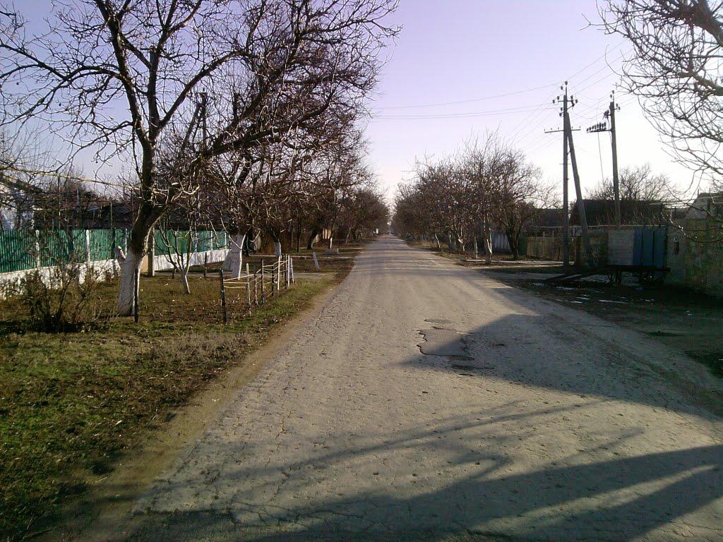 Роздольне з panoramio.com - Роздольне