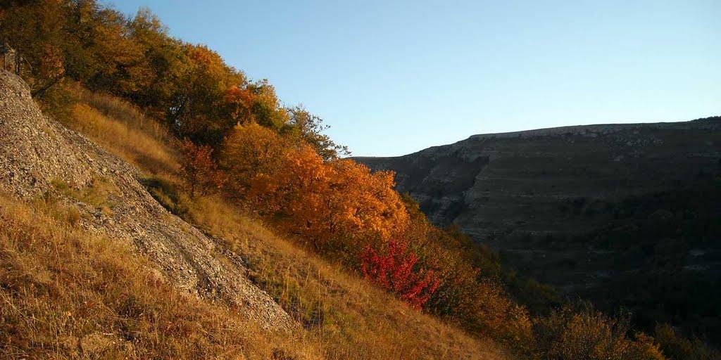Лаванда з panoramio.com (ч.2) - Lavanda