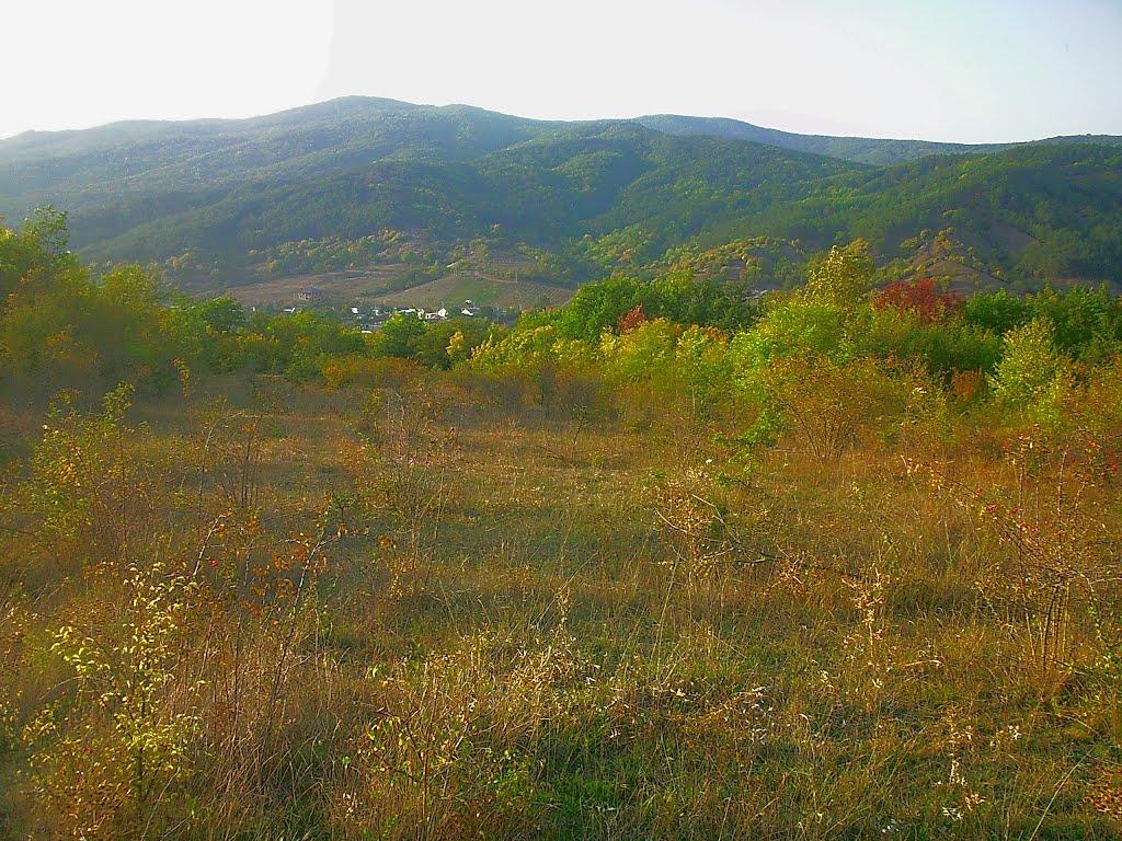 Богатир з panoramio.com - Богатырь