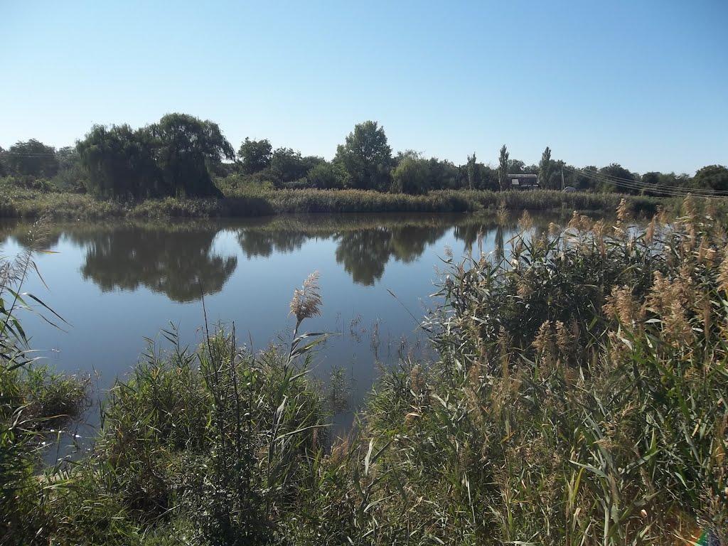 Матвіївка з panoramio.com - Матвіївка