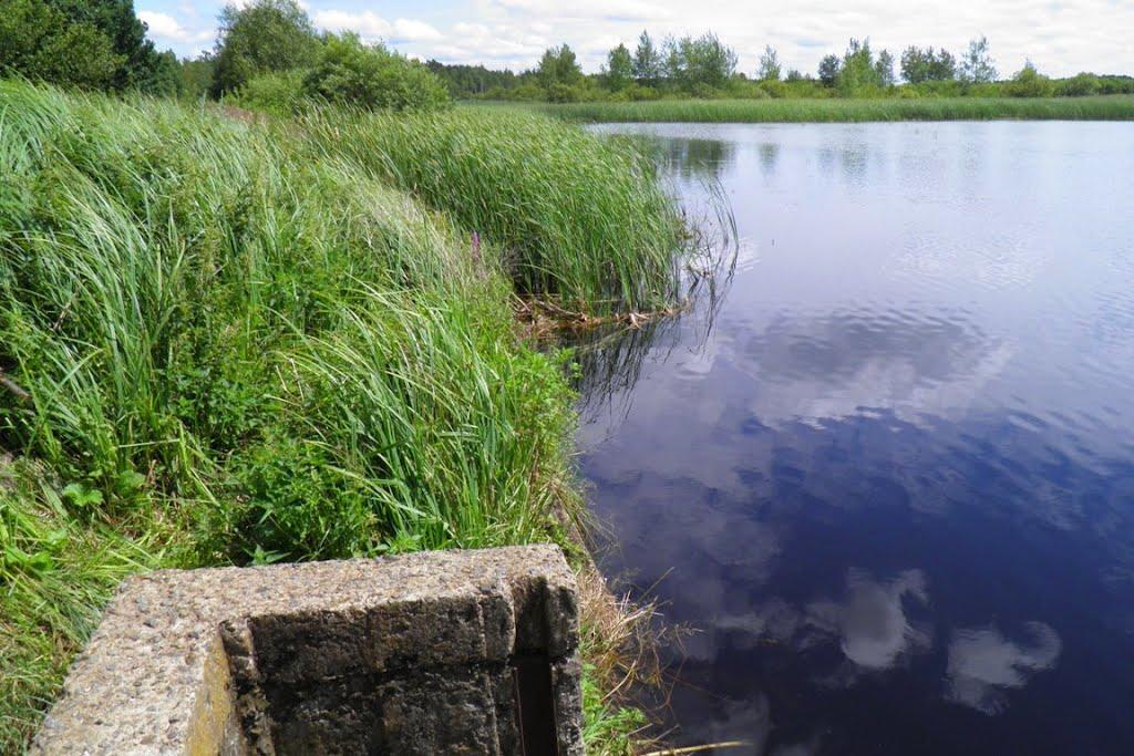 Маневичі з panoramio.com - Маневичі