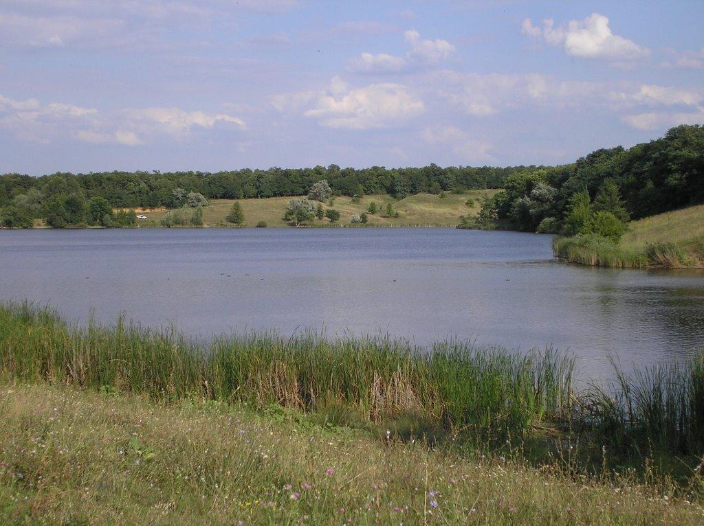 Єлизаветградка з panoramio.com - Єлизаветградка