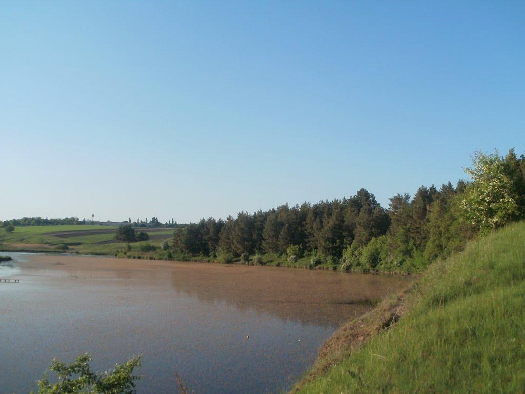 Шура-Мітлинецька з panoramio.com - Шура-Мітлинецька