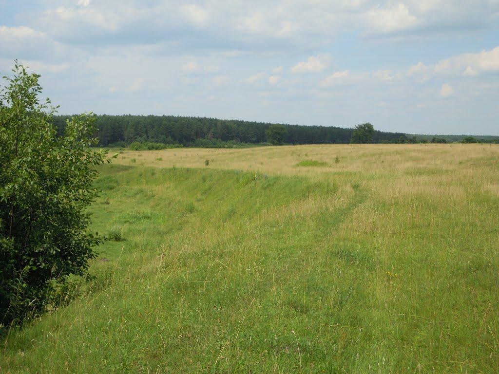 Михля з panoramio.com - Михля