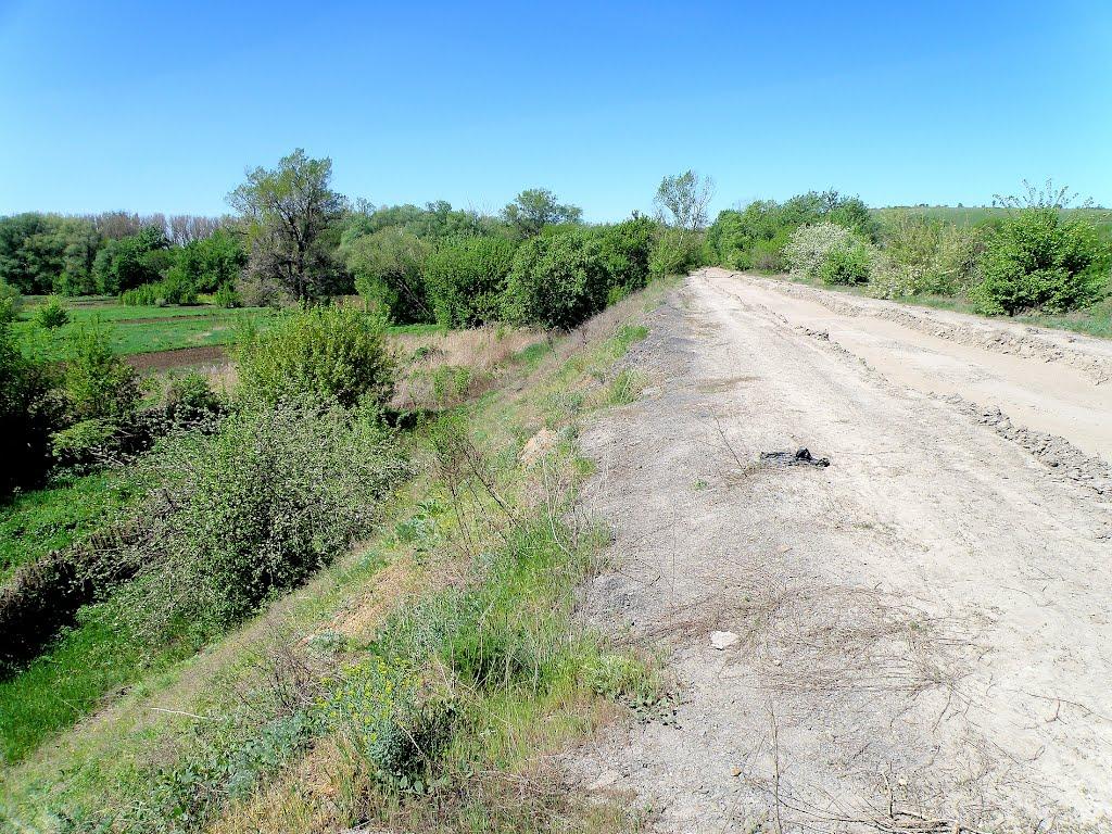 Селезнівка з panoramio.com - Селезнівка