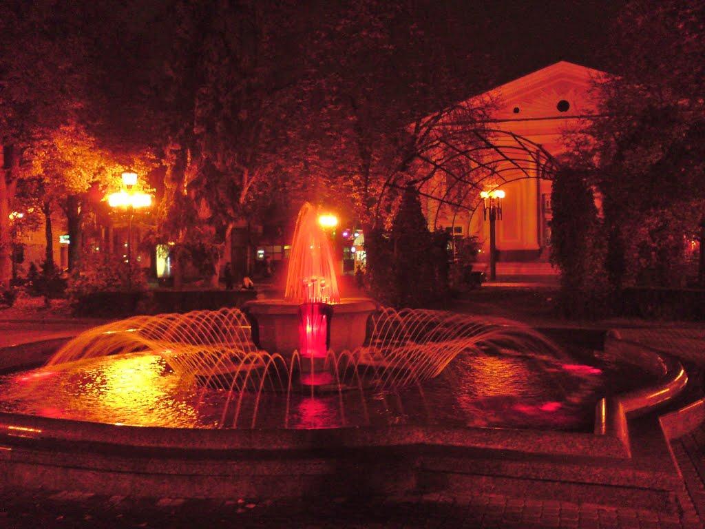 Петриків з panoramio.com (ч.2) - Петриків