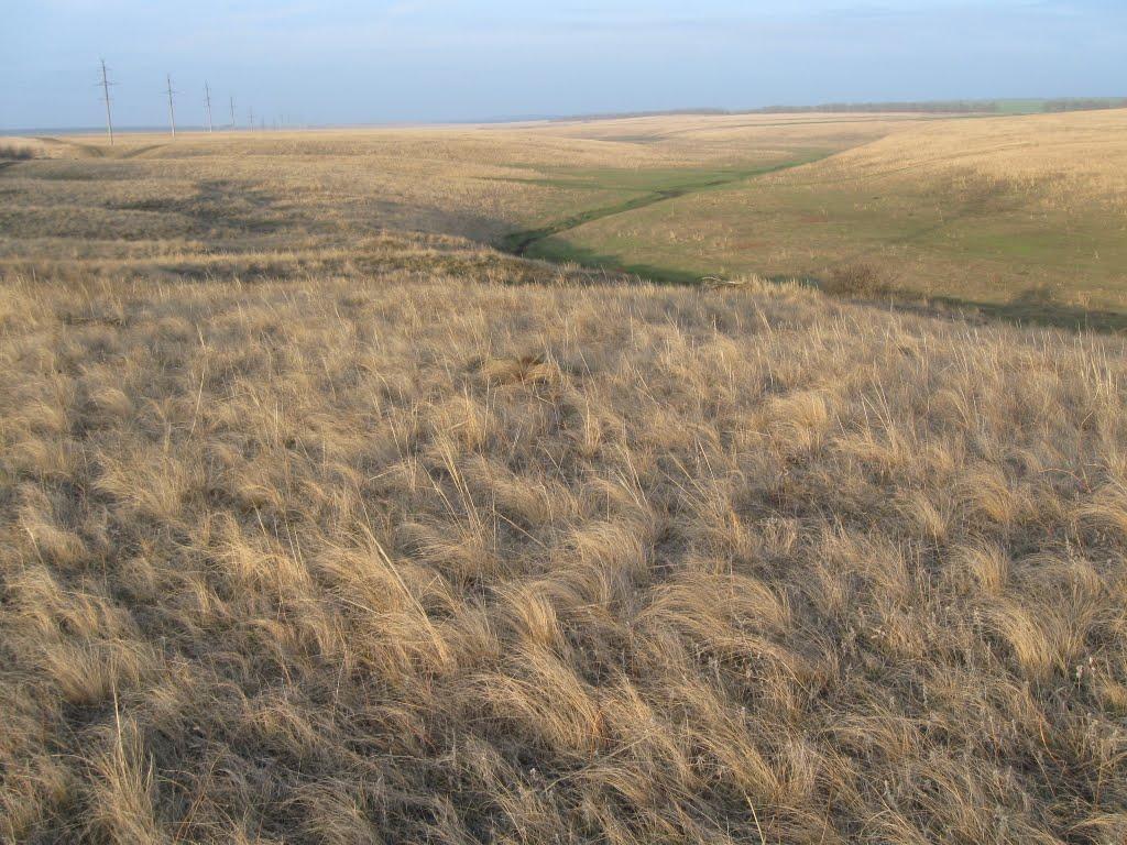 Митьково-Качкарі з panoramio.com - Митьково-Качкарі