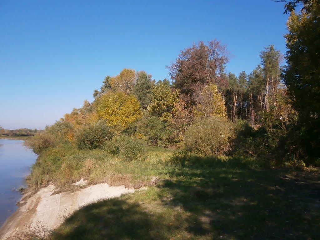 Ліпляве з panoramio.com - Liplyave