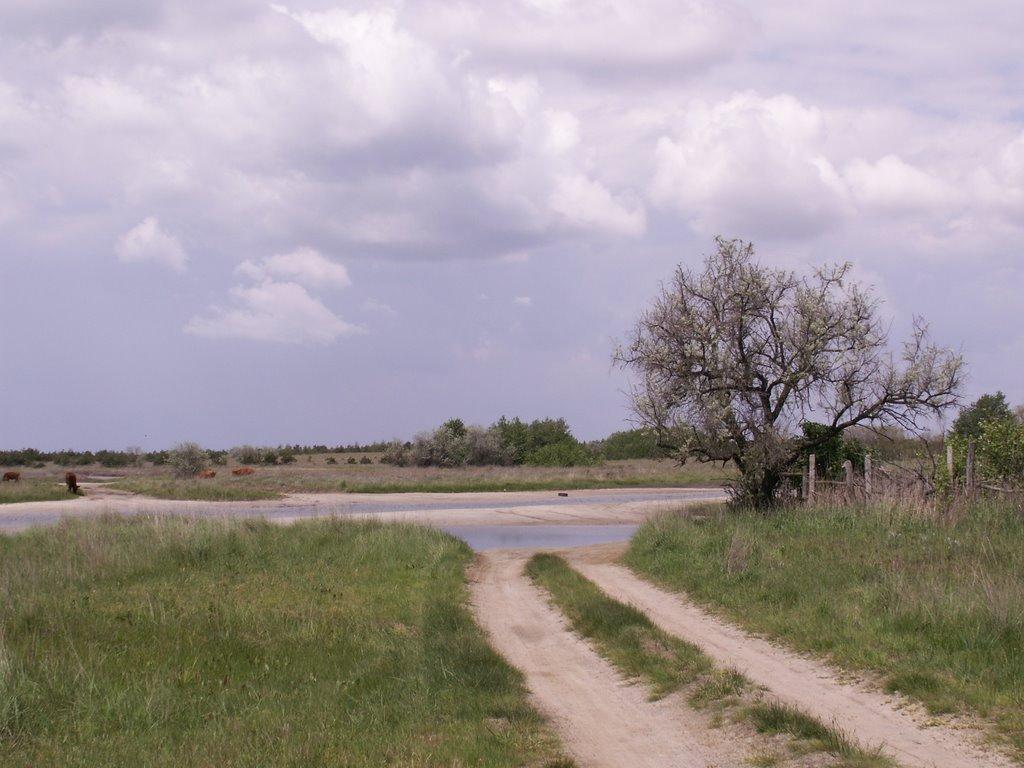 Верхньодніпровськ з panoramio.com - Верхнеднепровск