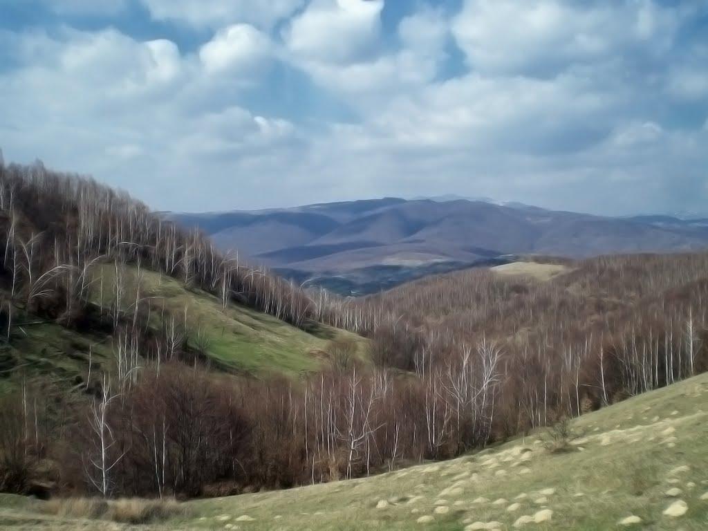 Росош з panoramio.com - Росош