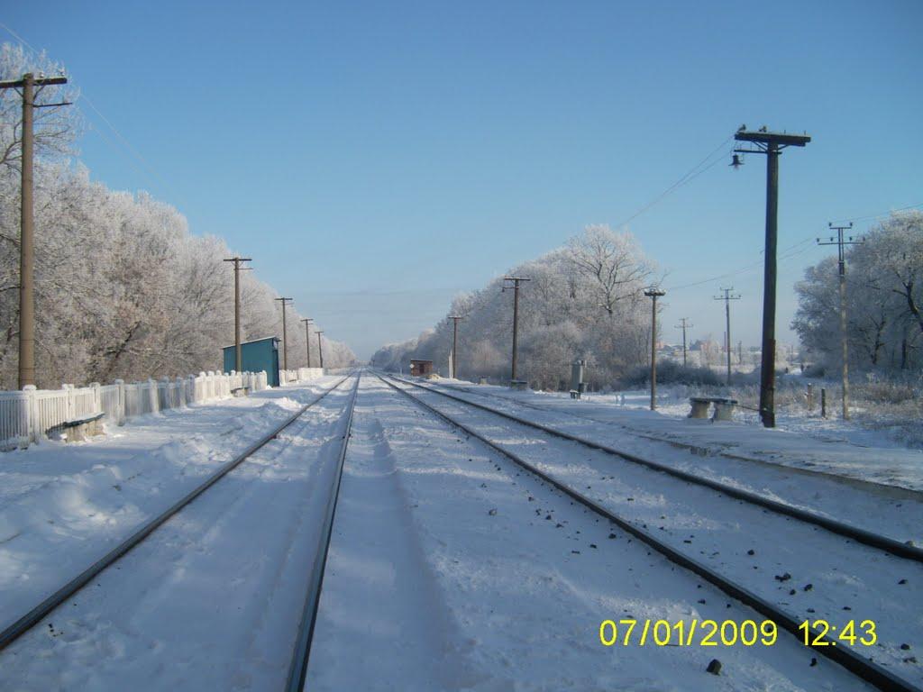Вовча Балка з panoramio.com - Волчья Балка