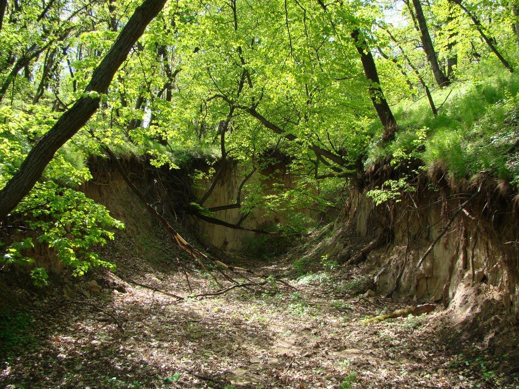 Світловодськ з panoramio.com (ч.2) - Светловодск