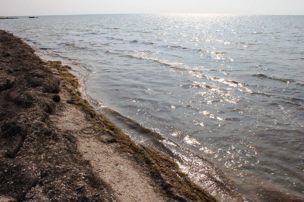 Чернишове з panoramio.com - Чернишове