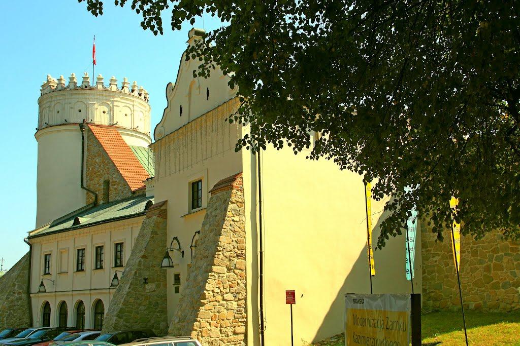 Нижанковичі з panoramio.com (ч.2) - Нижанковичи