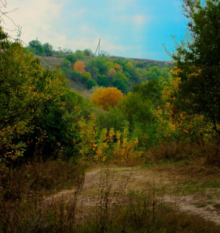 Зуївка з panoramio.com - Зуївка