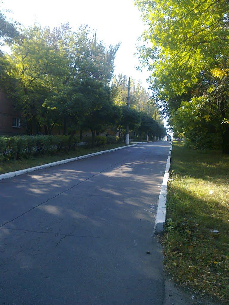 Миколаївка з panoramio.com (ч.2) - Николаевка