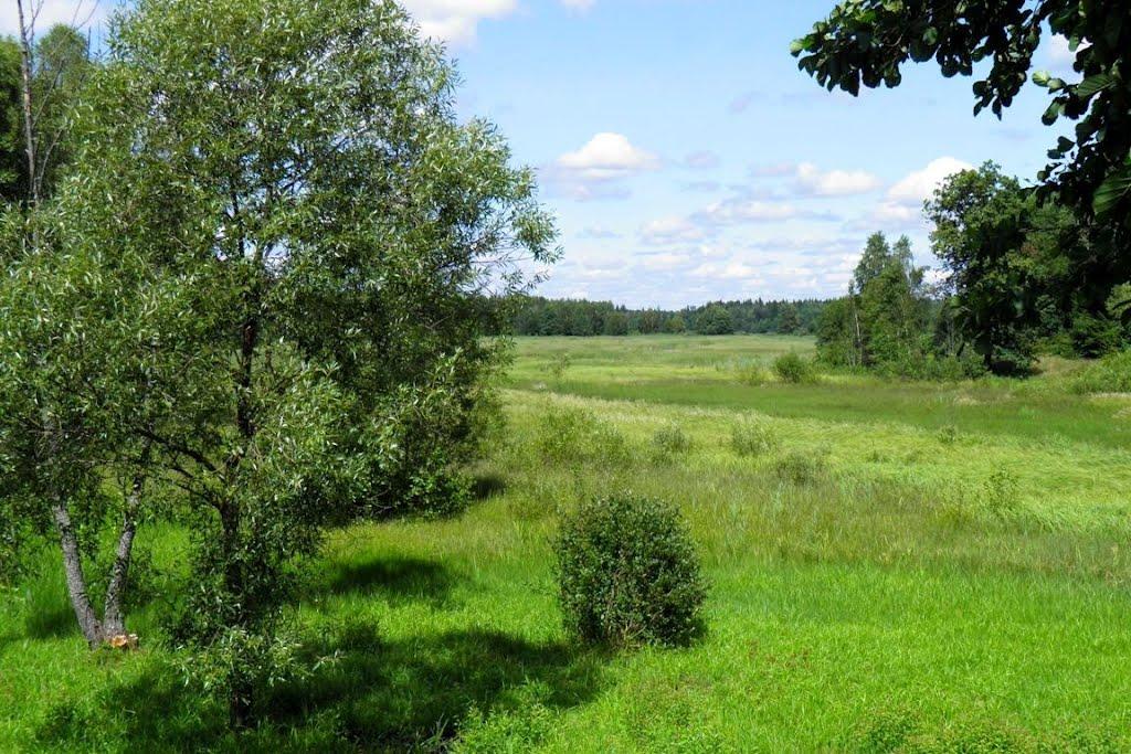 Маневичі з panoramio.com - Маневичи