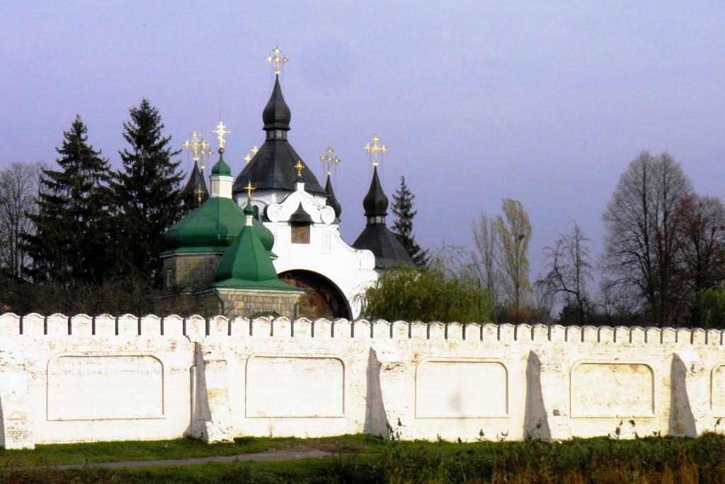 Пляшева з panoramio.com - Пляшева