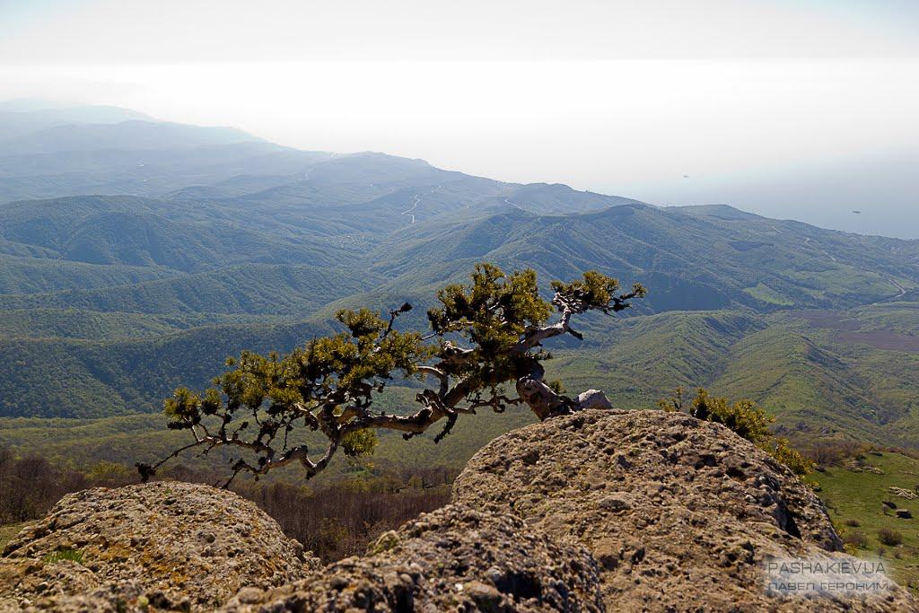Лучисте з panoramio.com (ч.2) - Luchyste