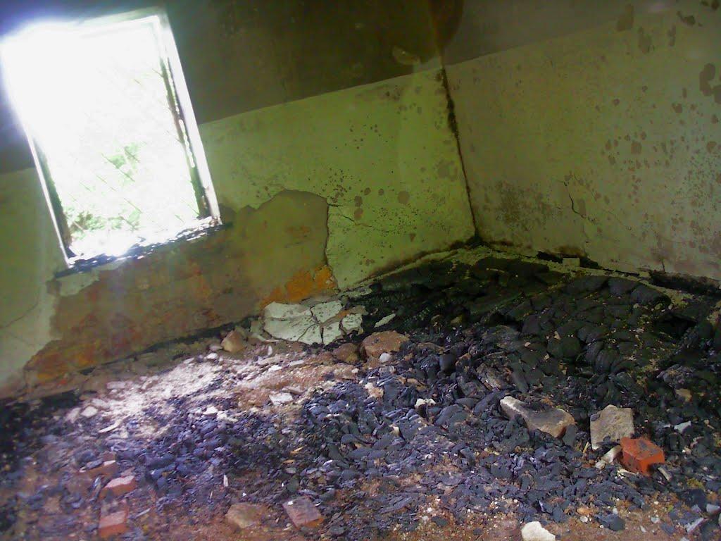 Краснолісся з panoramio.com - Краснолісся