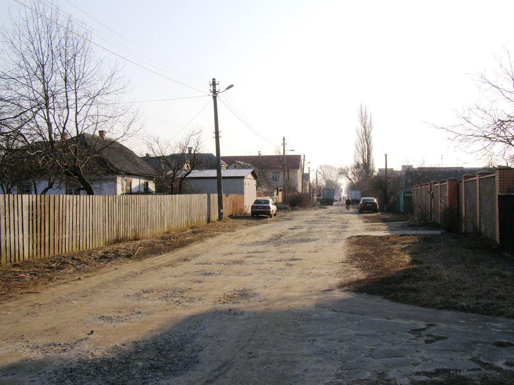 Гнідин з panoramio.com (ч.3) - Gnidyn
