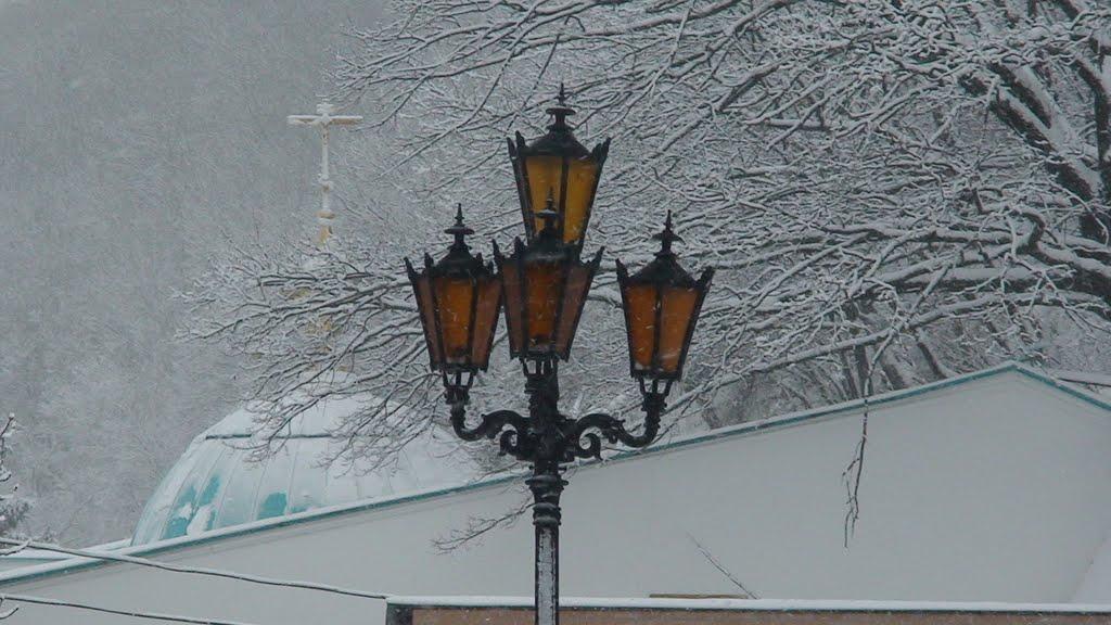 Святогірськ з panoramio.com - Святогорск