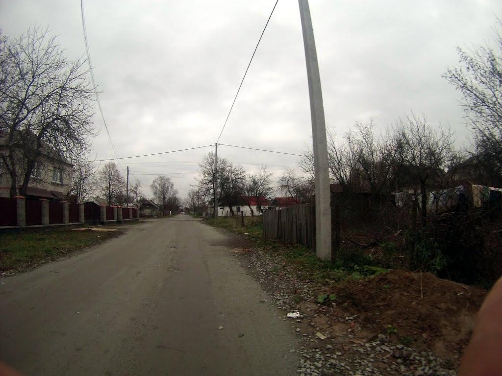 Новоград-Волинський з panoramio.com (ч.3) - Новоград-Волинський