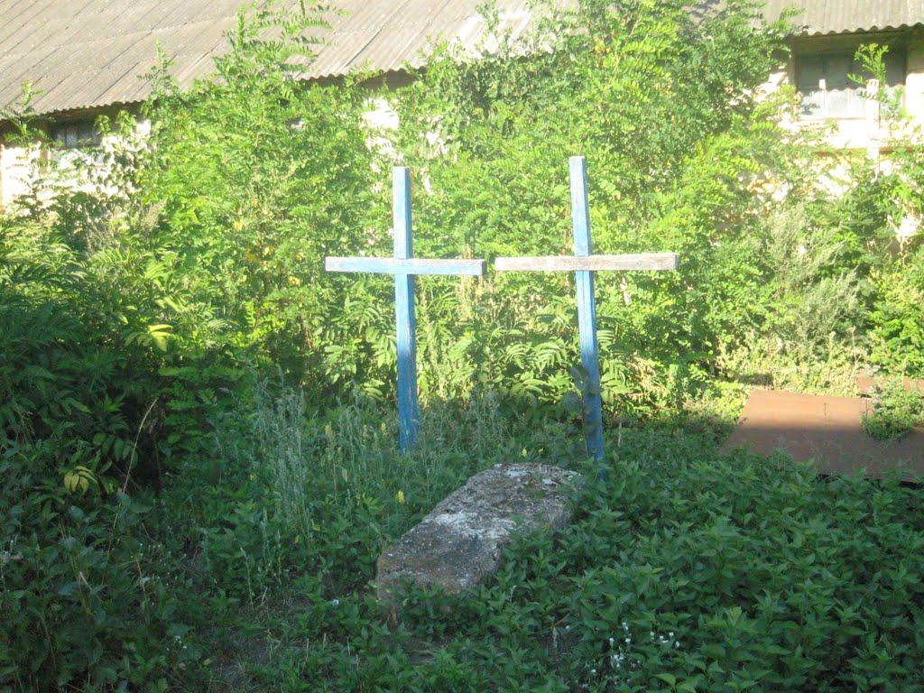 Лісничівка з panoramio.com - Лісничівка