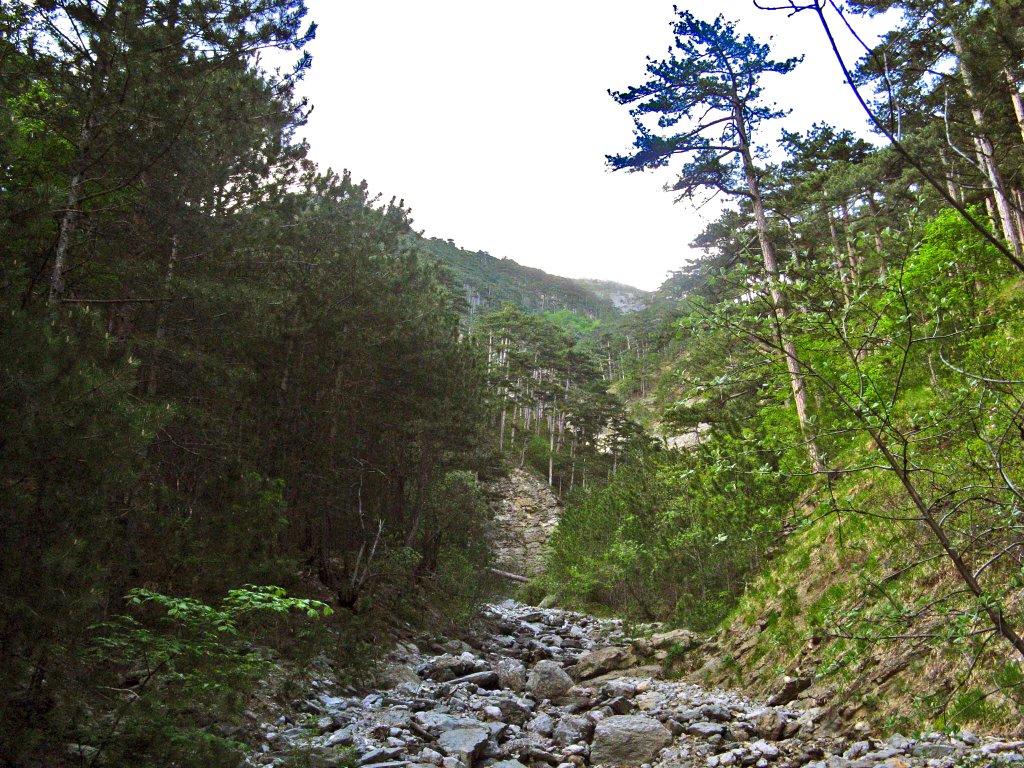 Совєтське з panoramio.com (ч.2) - Совєтське